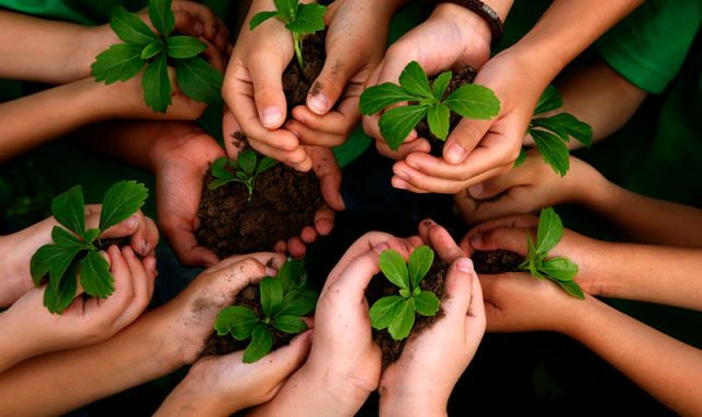 Educação Ambiental e a visitação em Parques Nacionais Brasileiros – ICMBio